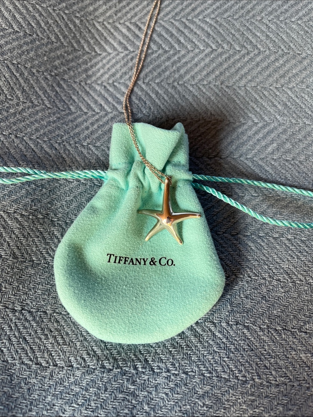 Tiffany & Co. Silver Starfish Pendant with Tiffany Pouch